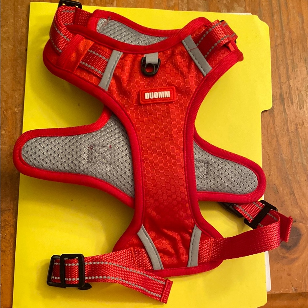 Vibrant Red Dog Harness